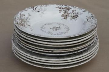 catalog photo of antique vintage brown transferware china plates & bowls, Chelsea pattern English Staffordshire