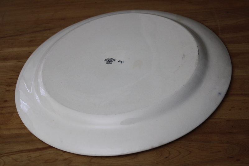 photo of antique vintage china cake plate, round platter or tray w/ Apple Border, Cauldon England #8
