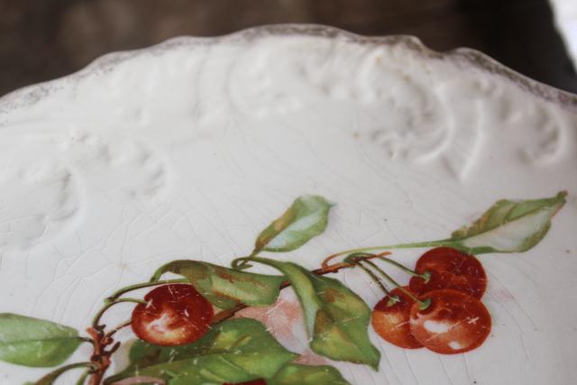 photo of antique & vintage china plates, mismatched collection fruit nuts berries painted designs #3