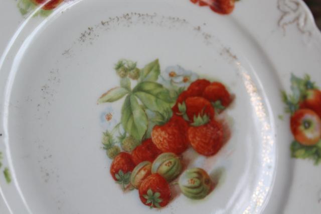 photo of antique & vintage china plates, mismatched collection fruit nuts berries painted designs #9