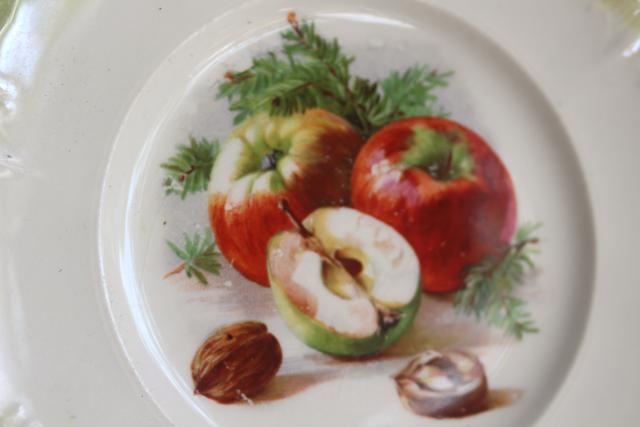 photo of antique & vintage china plates, mismatched collection fruit nuts berries painted designs #11