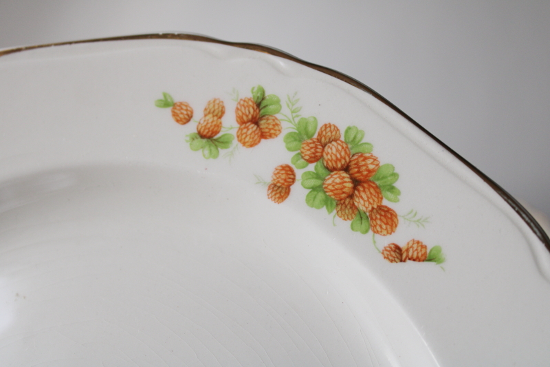 photo of antique vintage cottage country girl red clover flowers pattern dinner plates  #6