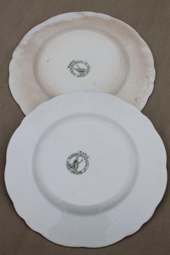 photo of antique vintage green transferware china plates, Marie pattern English Staffordshire #8