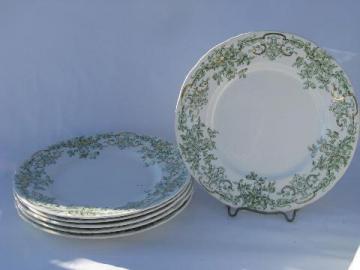 catalog photo of antique vintage green transferware china plates, Stratford - Alfred Meakin - England