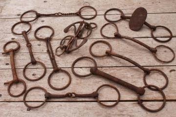 catalog photo of antique vintage horse bits, snaffle bits - rusty old tack for primitive rustic display