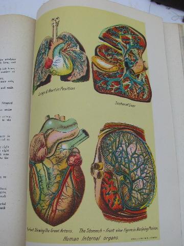 photo of antique vintage medical health books, many litho illustrations, anatomy fold-outs #3