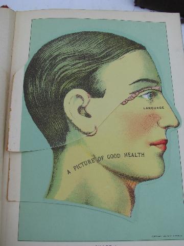 photo of antique vintage medical health books, many litho illustrations, anatomy fold-outs #5