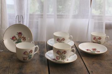 catalog photo of antique vintage moss rose china tea or coffee cups w/ deep bowl saucers