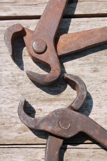 photo of antique vintage nippers forged iron farm primitive farrier / blacksmith tools #9