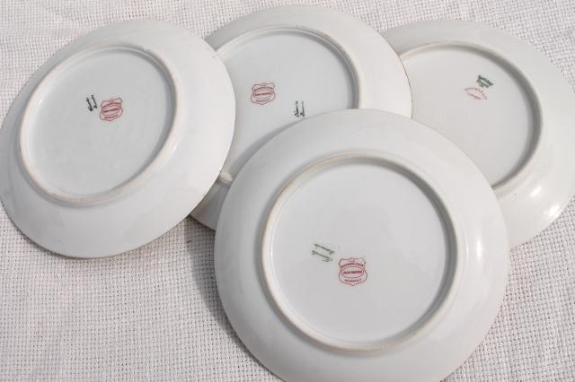 photo of antique vintage plate collection, mismatched china plates w/ hand painted flowers #12