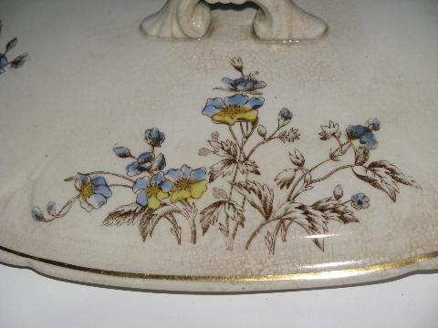 photo of antique vintage transferware china soup tureen or covered vegetable bowl #3