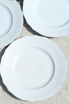 catalog photo of antique vintage white ironstone china plates, Alfred Meakin embossed wheat