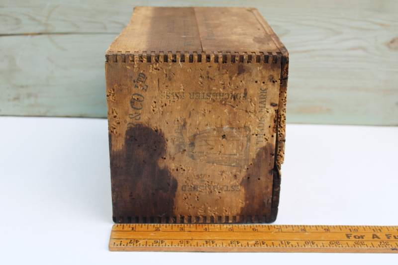 photo of antique wood crate, Bakers chocolate Paris gold medal vintage 1900 stenciled graphics finger jointed packing box  #6