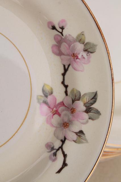 photo of apple blossom vintage Homer Laughlin eggshell nautilus china, set of 8 small plates #7