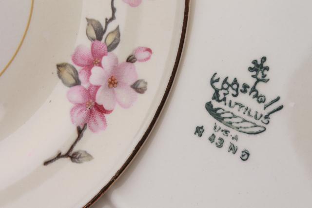 photo of apple blossom vintage Homer Laughlin eggshell nautilus china, set of 8 small plates #9