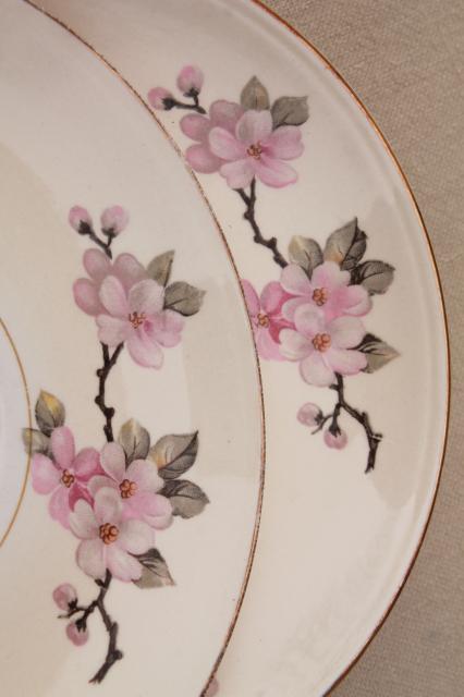 photo of apple blossom vintage china tea cups & saucers Homer Laughlin eggshell nautilus #7