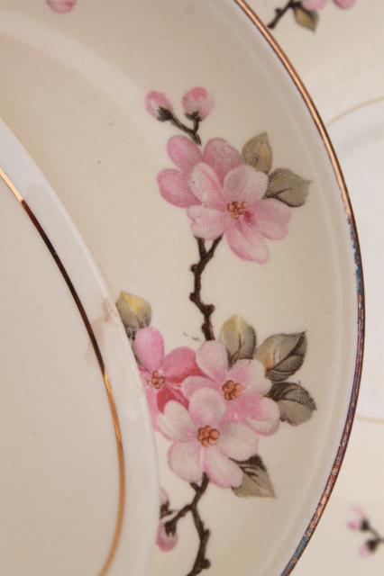 photo of apple blossom vintage china tea cups & saucers Homer Laughlin eggshell nautilus #8