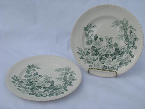 photo of apple blossom vintage green transferware plates Windsorware Johnson Bros china #1