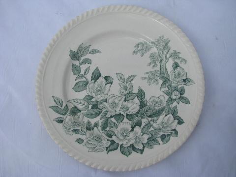 photo of apple blossom vintage green transferware plates Windsorware Johnson Bros china #2