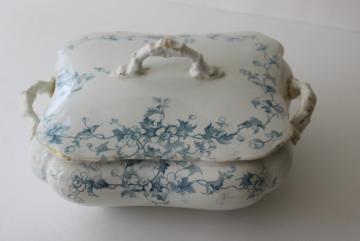 catalog photo of aqua blue Anemone pattern antique English transferware china covered bowl or tureen