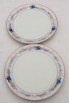 catalog photo of art deco vintage hand painted porcelain plates w/ blue birds, antique bluebird china