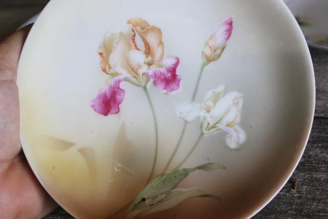 photo of art nouveau style florals vintage hand painted china plates Japan & Nippon marks #17