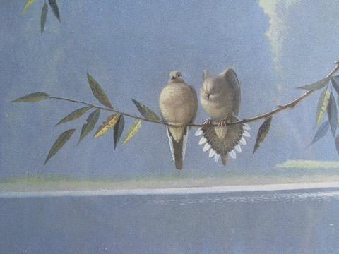 photo of artist signed vintage bird print, doves on a branch / Rene Heflin #5