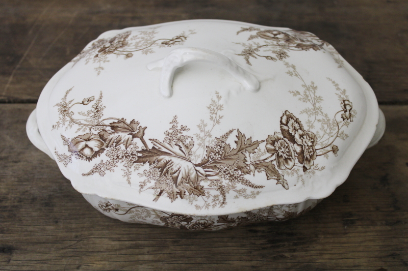 photo of asethetic antique transferware china covered dish, vintage 1900 Johnson Bros Paris poppy pattern #2