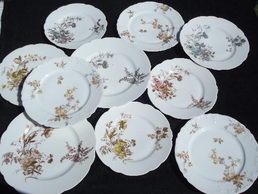 photo of assorted antique Haviland Limoges china plates, lot fall floral patterns #1