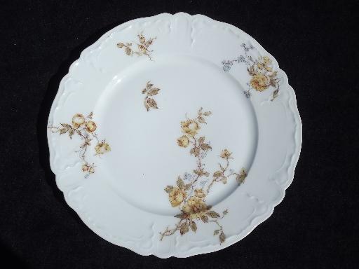 photo of assorted antique Haviland Limoges china plates, lot fall floral patterns #4