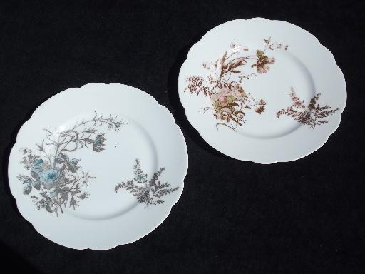 photo of assorted antique Haviland Limoges china plates, lot fall floral patterns #6