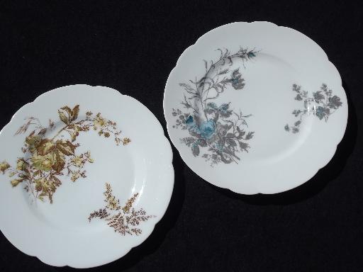 photo of assorted antique Haviland Limoges china plates, lot fall floral patterns #7