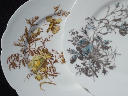 photo of assorted antique Haviland Limoges china plates, lot fall floral patterns #9