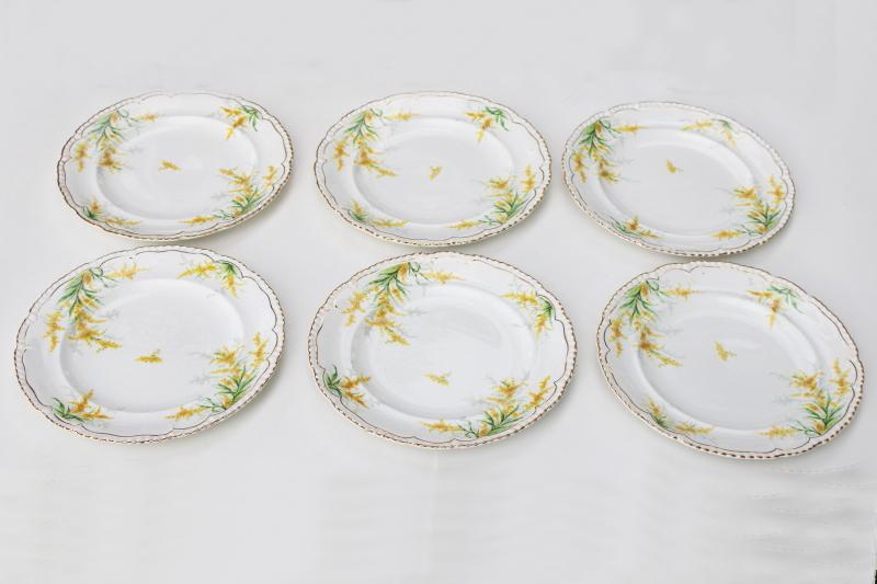 photo of autumn goldenrod flowers set of vintage dinner plates, John Maddock English ironstone  #1