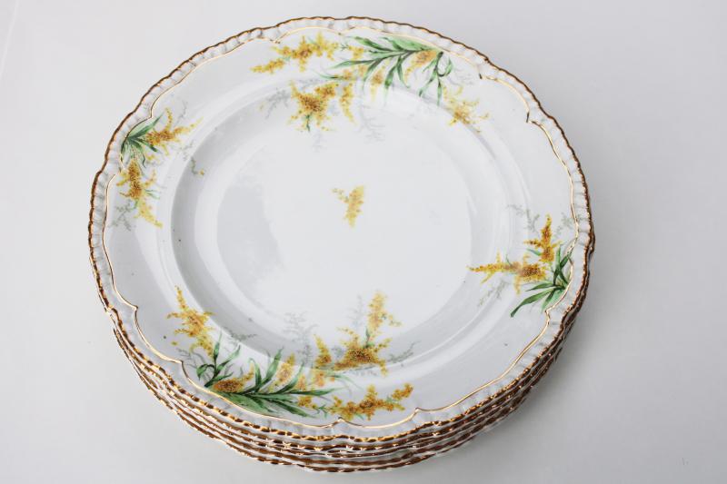 photo of autumn goldenrod flowers set of vintage dinner plates, John Maddock English ironstone  #2