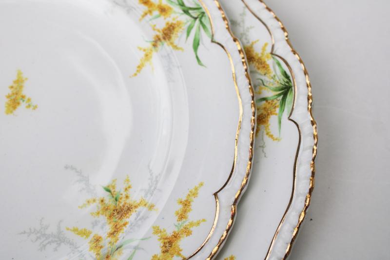 photo of autumn goldenrod flowers set of vintage dinner plates, John Maddock English ironstone  #4