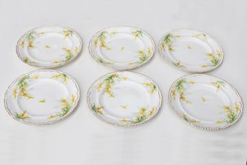 catalog photo of autumn goldenrod flowers set of vintage dinner plates, John Maddock English ironstone 