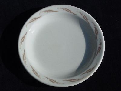 photo of autumn leaves homer laughlin best china ironstone plates #2