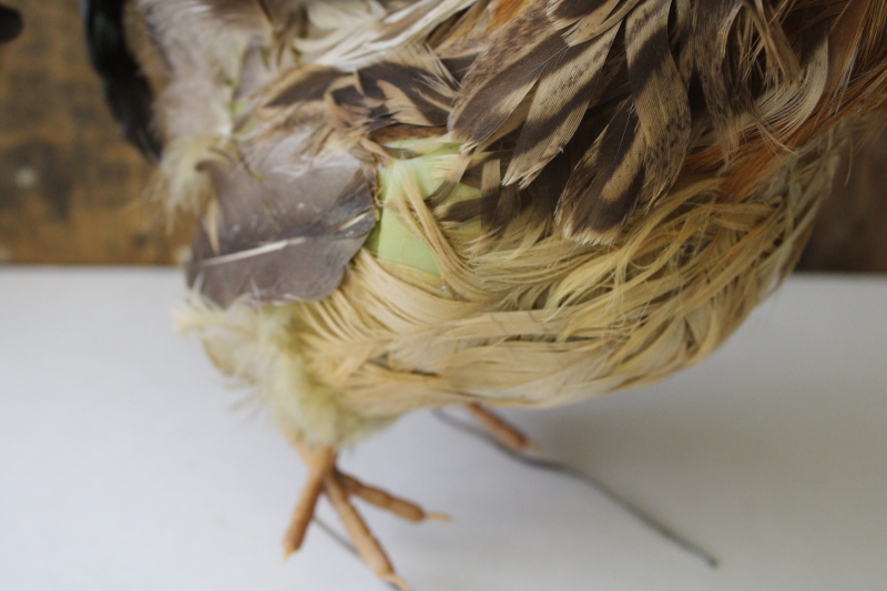 photo of bantam rooster lifelike chicken w/ real feathers, country farmhouse decor old banty rooster  #3