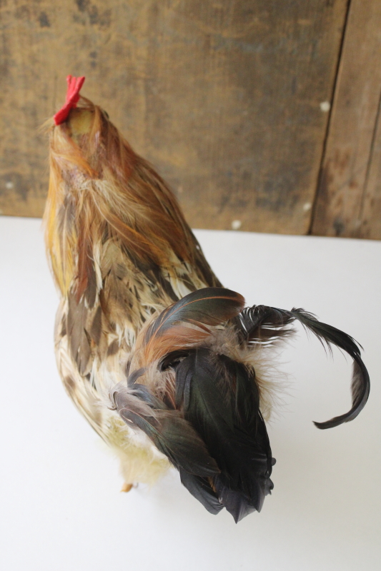 photo of bantam rooster lifelike chicken w/ real feathers, country farmhouse decor old banty rooster  #6