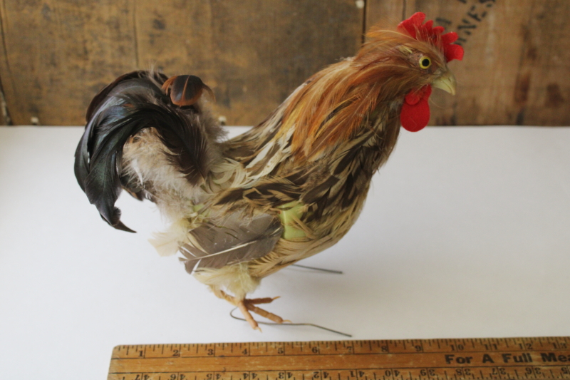 photo of bantam rooster lifelike chicken w/ real feathers, country farmhouse decor old banty rooster  #8