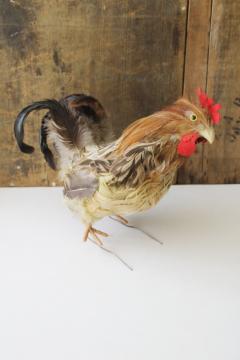 bantam rooster lifelike chicken w/ real feathers, country farmhouse decor old banty rooster 