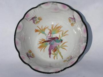 catalog photo of big porcelain bowl w/ painted parrot, antique German china, vintage Germany