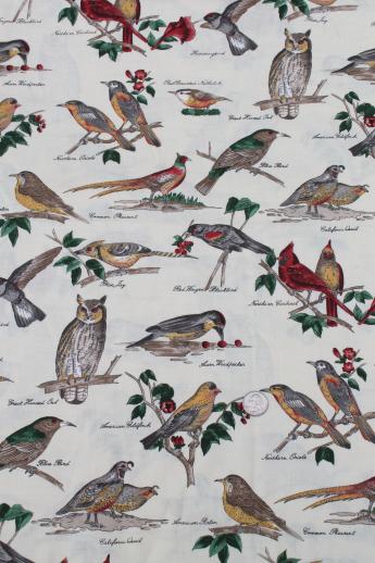 photo of birds in nature print fabric, labeled birds natural history illustrations Audubon style #1