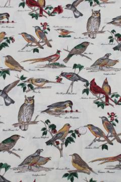 catalog photo of birds in nature print fabric, labeled birds natural history illustrations Audubon style