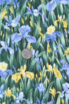 catalog photo of blue and yellow iris flowers, floral print cotton quilting fabric