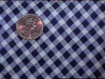 catalog photo of blue gingham check fabric