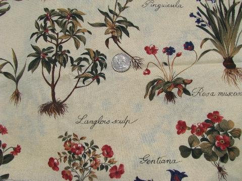 photo of botanical prints w/ latin plant names, 70s vintage floral print fabric #1