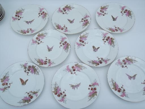 photo of butterfly moth and horse chestnut art nouveau vintage china tea set for 8 #3