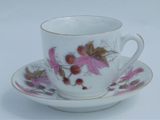 photo of butterfly moth and horse chestnut art nouveau vintage china tea set for 8 #6